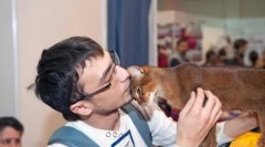 Počitnice naših manjših bratov: dan hišnega dneva in sterilizacije